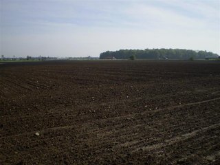 46 Acres (30 tillable).  1600' of Frontage along I-69.  (Average daily volume of 35,780).  Additional frontage on CR 1000 W and CR 650 N.  Excellent billboard/cell tower possibilities.  Will divide. - 46 Acres Quality Farmland